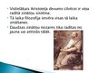 Презентация 'Aristotelis un Platons', 12.