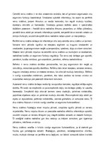 Эссе 'Cilvēka nervu sistēmas uzbūve un funkcijas: anatomijas un fizioloģijas analīze', 2.