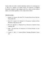 Эссе 'Cilvēka nervu sistēmas uzbūve un funkcijas: anatomijas un fizioloģijas analīze', 4.