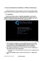 Реферат 'Virtual PC (Wmware) programmatūras instalācijas process. OS uzstādīšanas un konf', 13.