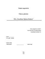 Отчёт по практике 'SIA "Consilium Optima Brokers"', 1.