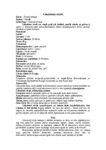 Конспект 'Cīrulis', 5.