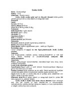 Конспект 'Cīrulis', 7.