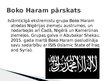Презентация 'Īss pārskats pār Boko Haram grupējumu Nigērijā', 4.