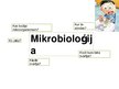 Презентация 'Mikrobioloģija', 2.