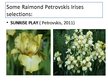 Презентация 'Irises Selection in Latvia', 7.