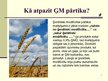Презентация 'Ģenētiski modificēta pārtika', 7.