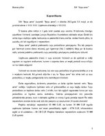 Бизнес план 'Suņu viesnīca “Ķepu zeme”', 3.