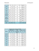 Бизнес план 'Suņu viesnīca “Ķepu zeme”', 11.