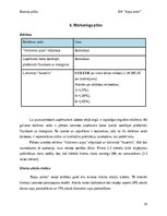 Бизнес план 'Suņu viesnīca “Ķepu zeme”', 15.