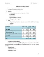 Бизнес план 'Suņu viesnīca “Ķepu zeme”', 17.