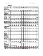 Бизнес план 'Suņu viesnīca “Ķepu zeme”', 21.