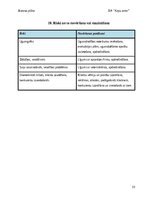 Бизнес план 'Suņu viesnīca “Ķepu zeme”', 23.