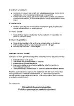 Образец документа 'Grāmatvedības politikas plāns pilnsabiedrībai', 2.