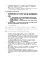 Образец документа 'Grāmatvedības politikas plāns pilnsabiedrībai', 17.