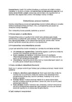 Образец документа 'Grāmatvedības politikas plāns pilnsabiedrībai', 22.