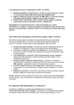 Образец документа 'Grāmatvedības politikas plāns pilnsabiedrībai', 23.