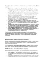 Образец документа 'Grāmatvedības politikas plāns pilnsabiedrībai', 34.