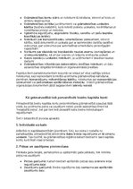 Образец документа 'Grāmatvedības politikas plāns pilnsabiedrībai', 38.