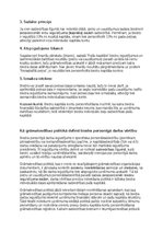 Образец документа 'Grāmatvedības politikas plāns pilnsabiedrībai', 39.