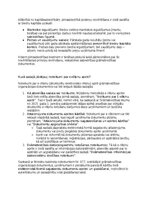 Образец документа 'Grāmatvedības politikas plāns pilnsabiedrībai', 41.