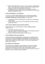 Образец документа 'Grāmatvedības politikas plāns pilnsabiedrībai', 43.