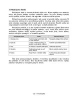 Бизнес план 'Kiberdrošības apmācību un pikšķerēšanas simulāciju pakalpojums Latvijas mazajiem', 6.