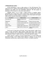 Бизнес план 'Kiberdrošības apmācību un pikšķerēšanas simulāciju pakalpojums Latvijas mazajiem', 8.