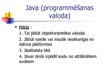 Презентация 'Programmēšanas valodas', 16.