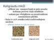 Презентация 'Kailgraudu miežu audzēšanas tehnoloģija un izmantošana', 2.
