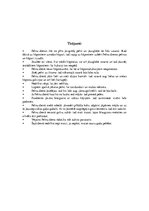 Конспект 'Meteņi', 13.