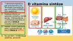 Презентация 'D vitamīna veidošanās organismā', 4.