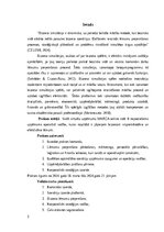 Отчёт по практике 'Prakses atskaite', 3.