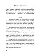 Отчёт по практике 'Prakses atskaite', 8.