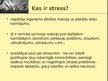 Презентация 'Stress', 2.