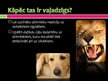 Презентация 'Dzīvnieku izmantošana psiholoģiskos pētījumos', 3.
