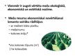 Презентация 'Meža resursi un to izmantošana Latvijā', 3.