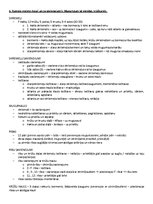 Образец документа 'ANATOMIJA; ĶERMEŅA UZBŪVES PAMATPRINCIPI 
Atbildes anatomijas eksāmenam', 5.