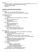 Образец документа 'ANATOMIJA; ĶERMEŅA UZBŪVES PAMATPRINCIPI 
Atbildes anatomijas eksāmenam', 6.