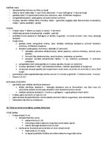 Образец документа 'ANATOMIJA; ĶERMEŅA UZBŪVES PAMATPRINCIPI 
Atbildes anatomijas eksāmenam', 17.