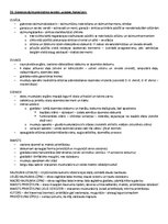 Образец документа 'ANATOMIJA; ĶERMEŅA UZBŪVES PAMATPRINCIPI 
Atbildes anatomijas eksāmenam', 22.