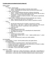 Образец документа 'ANATOMIJA; ĶERMEŅA UZBŪVES PAMATPRINCIPI 
Atbildes anatomijas eksāmenam', 24.