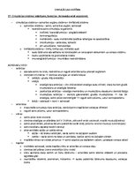 Образец документа 'ANATOMIJA; ĶERMEŅA UZBŪVES PAMATPRINCIPI 
Atbildes anatomijas eksāmenam', 26.