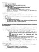 Образец документа 'ANATOMIJA; ĶERMEŅA UZBŪVES PAMATPRINCIPI 
Atbildes anatomijas eksāmenam', 40.