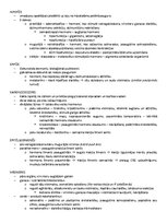 Образец документа 'ANATOMIJA; ĶERMEŅA UZBŪVES PAMATPRINCIPI 
Atbildes anatomijas eksāmenam', 42.