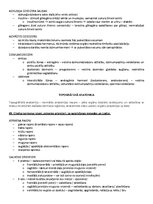 Образец документа 'ANATOMIJA; ĶERMEŅA UZBŪVES PAMATPRINCIPI 
Atbildes anatomijas eksāmenam', 43.
