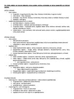 Образец документа 'ANATOMIJA; ĶERMEŅA UZBŪVES PAMATPRINCIPI 
Atbildes anatomijas eksāmenam', 47.