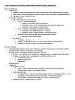 Образец документа 'Ķermeņa uzbūves pamatprincipi', 4.