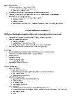 Образец документа 'Ķermeņa uzbūves pamatprincipi', 9.