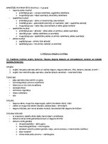 Образец документа 'Ķermeņa uzbūves pamatprincipi', 12.